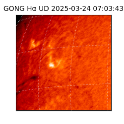 gong - 2025-03-24T07:03:43