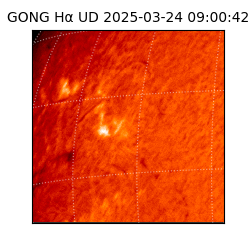 gong - 2025-03-24T09:00:42