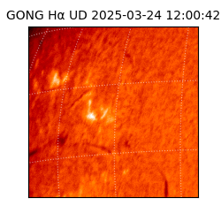 gong - 2025-03-24T12:00:42