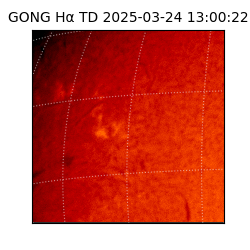 gong - 2025-03-24T13:00:22