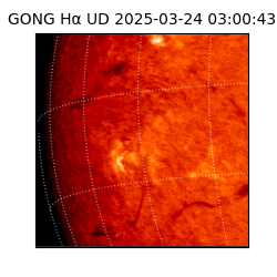 gong - 2025-03-24T03:00:43