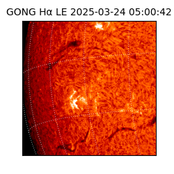 gong - 2025-03-24T05:00:42