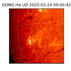 gong - 2025-03-24T09:00:42