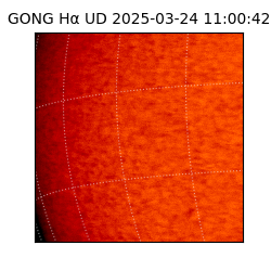 gong - 2025-03-24T11:00:42