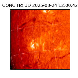 gong - 2025-03-24T12:00:42