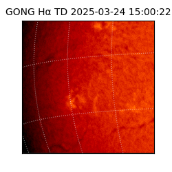 gong - 2025-03-24T15:00:22