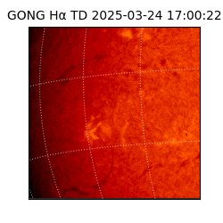 gong - 2025-03-24T17:00:22