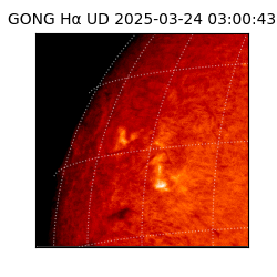 gong - 2025-03-24T03:00:43
