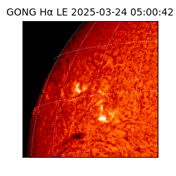 gong - 2025-03-24T05:00:42