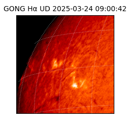 gong - 2025-03-24T09:00:42