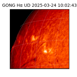gong - 2025-03-24T10:02:43