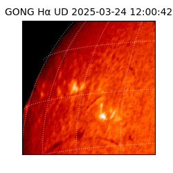 gong - 2025-03-24T12:00:42