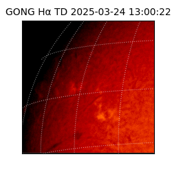 gong - 2025-03-24T13:00:22