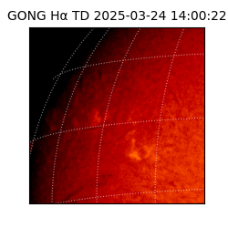 gong - 2025-03-24T14:00:22
