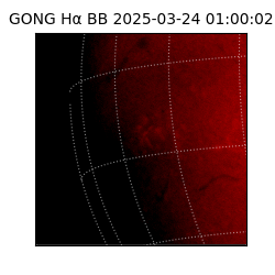 gong - 2025-03-24T01:00:02