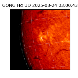 gong - 2025-03-24T03:00:43