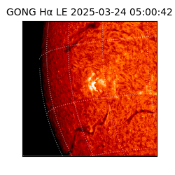 gong - 2025-03-24T05:00:42