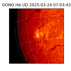 gong - 2025-03-24T07:03:43