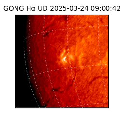 gong - 2025-03-24T09:00:42