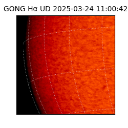 gong - 2025-03-24T11:00:42