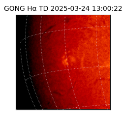 gong - 2025-03-24T13:00:22