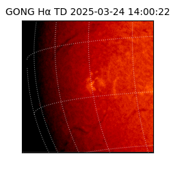 gong - 2025-03-24T14:00:22