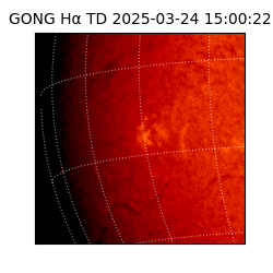 gong - 2025-03-24T15:00:22
