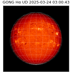 gong - 2025-03-24T03:00:43