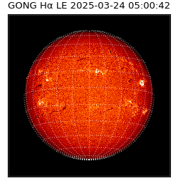 gong - 2025-03-24T05:00:42