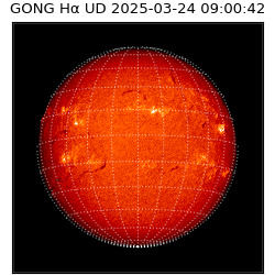 gong - 2025-03-24T09:00:42
