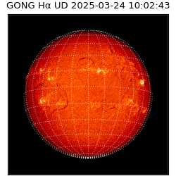 gong - 2025-03-24T10:02:43