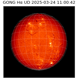 gong - 2025-03-24T11:00:42