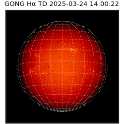 gong - 2025-03-24T14:00:22