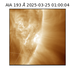 saia - 2025-03-25T01:00:04.845000