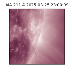 saia - 2025-03-25T23:00:09.630000