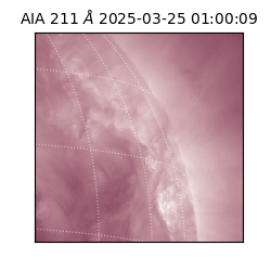 saia - 2025-03-25T01:00:09.632000