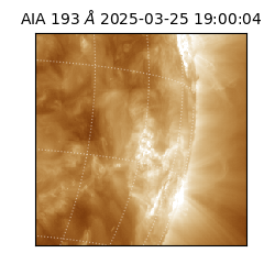 saia - 2025-03-25T19:00:04.843000