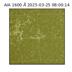 saia - 2025-03-25T08:00:14.125000