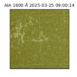 saia - 2025-03-25T09:00:14.130000