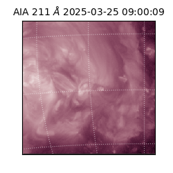 saia - 2025-03-25T09:00:09.626000