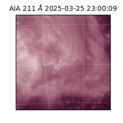 saia - 2025-03-25T23:00:09.630000