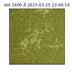 saia - 2025-03-25T13:00:14.126000