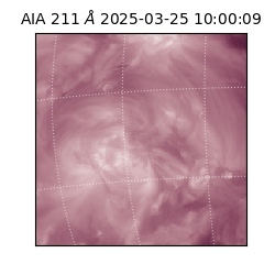 saia - 2025-03-25T10:00:09.622000