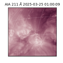 saia - 2025-03-25T01:00:09.632000