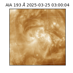 saia - 2025-03-25T03:00:04.843000