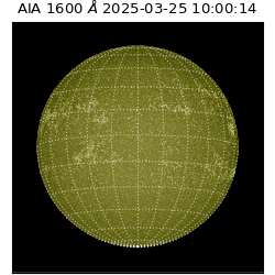 saia - 2025-03-25T10:00:14.125000