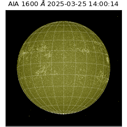 saia - 2025-03-25T14:00:14.126000