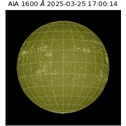 saia - 2025-03-25T17:00:14.121000