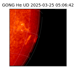 gong - 2025-03-25T05:06:42