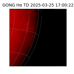 gong - 2025-03-25T17:00:22